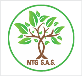 NTG sas